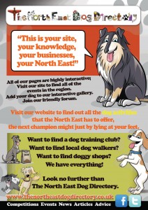 477030 277216199038325 161228660637080 594056 358914490 o 212x300 - Competition: The North East Next Top Dog Model