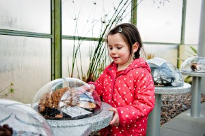 Little girl at the Feely Pods on the Treetop Walkway of the Winter Gardens 300x199 - 4 North East Businesses/Events - PrintSwift, Museum Sleepover, Barking Mad & Seventy3