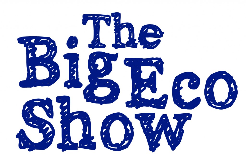 The Big Eco Show blue logo 1024x687 - Future of North East green economy debate, Big Eco Show 19th September 2012