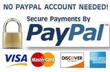 securepaypal - Individual Services