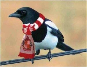 SAFC Magpie 300x232 - Match Preview: Sunderland AFC v Newcastle United, Sun 21st October 2012