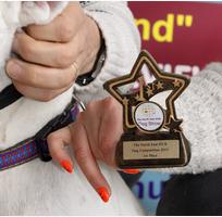 north-east-hub-dog-competition