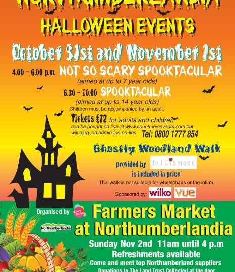 northumberland halloween farmers market