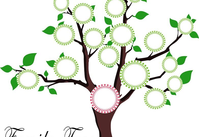 family-tree-research-northeast-england